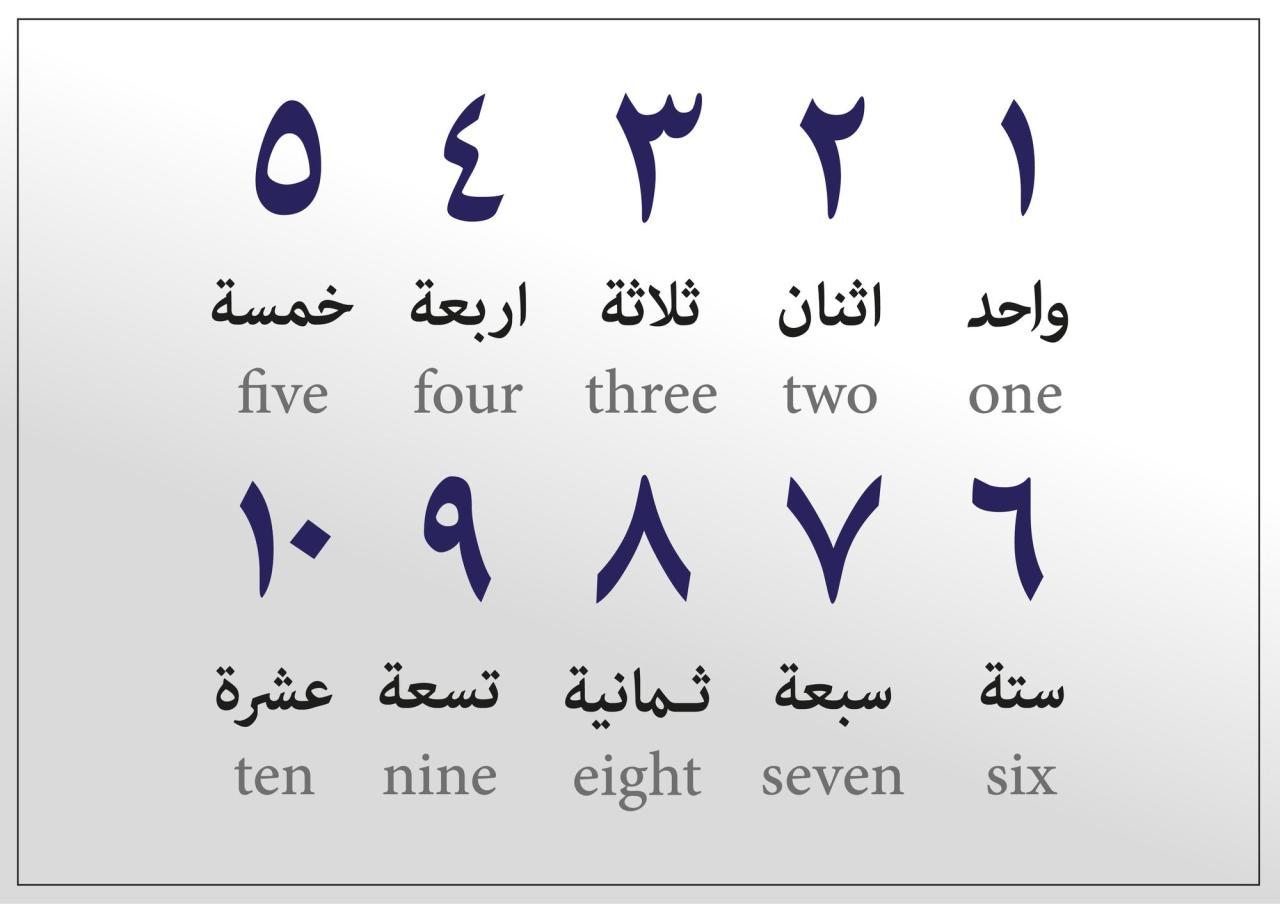 Wondering why pop popular here are 10 reasons