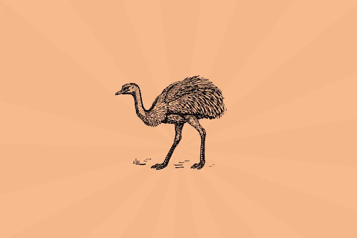The Great Emu War: A Humiliating Military Blunder and Its Enduring Lessons for Modern Creative Leadership