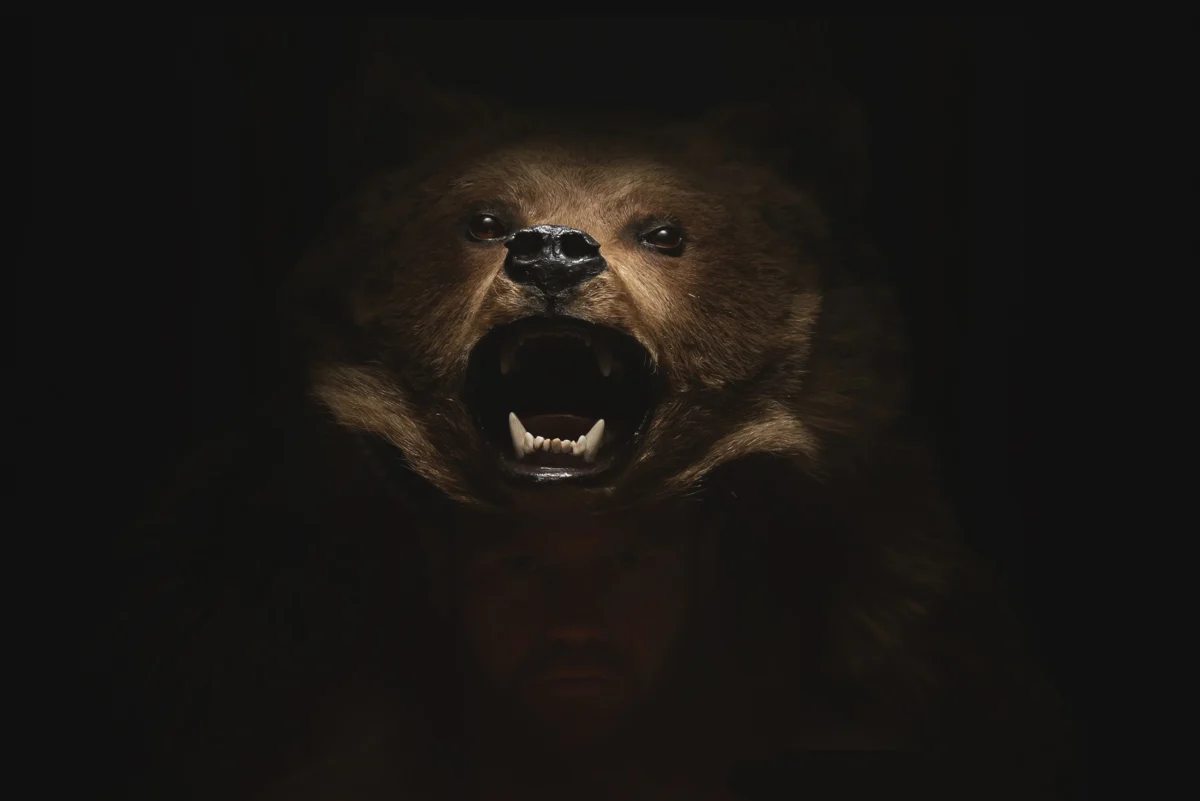 Three Individuals Sentenced for Elaborate Bear Suit Insurance Fraud Scheme Netting Over $141,000